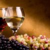 Почему виноград "Изабелла", из которого делают "Лыхны" запрещён в большинстве стран