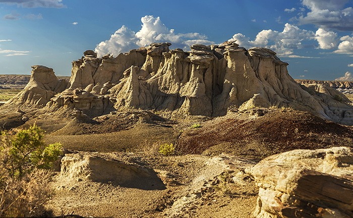 В Пустыне можно найти окаменелости. Фото: Alex Mironyuk.
