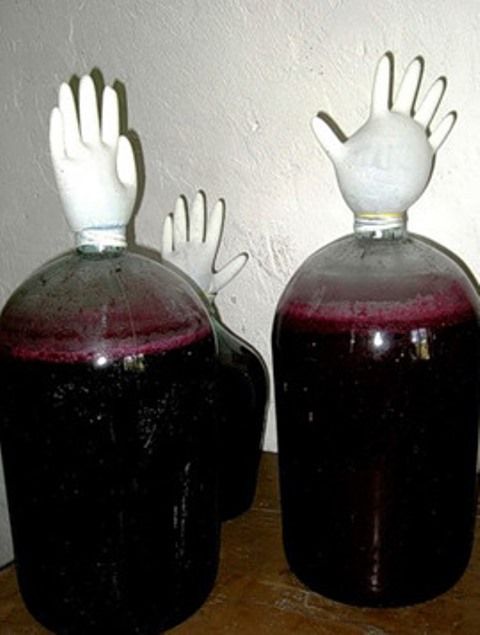фото брожения вина из виноградного сока под перчаткой