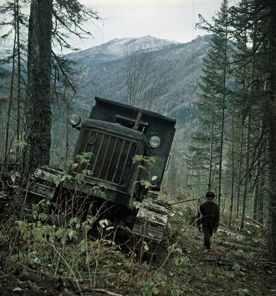 Трактор в тайге
Всеволод Тарасевич, 1953 – 1965 год, Алтайский край, МАММ/МДФ.
