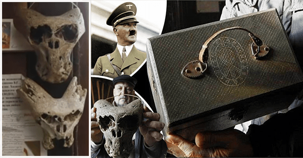 Найденный нацистский сундук с черепами пришельцев шокировал археологов.