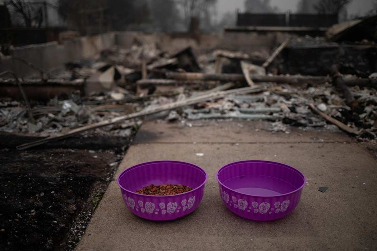 После пожаров в Калифорнии (фотографии)