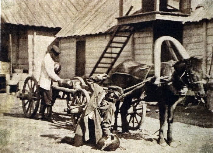 Казаки сносят арбузы. 1875-1876