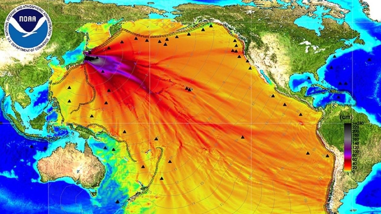 Эколог объяснил, почему Япония и Запад стараются молчать о последствиях Фукусимы