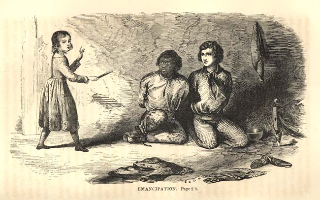 Как англичане торговали рабами-ирландцами и насильно скрещивали их с неграми