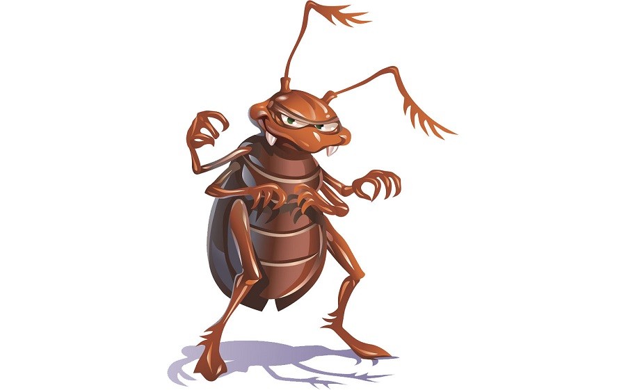 Почему тараканов называли прусаками