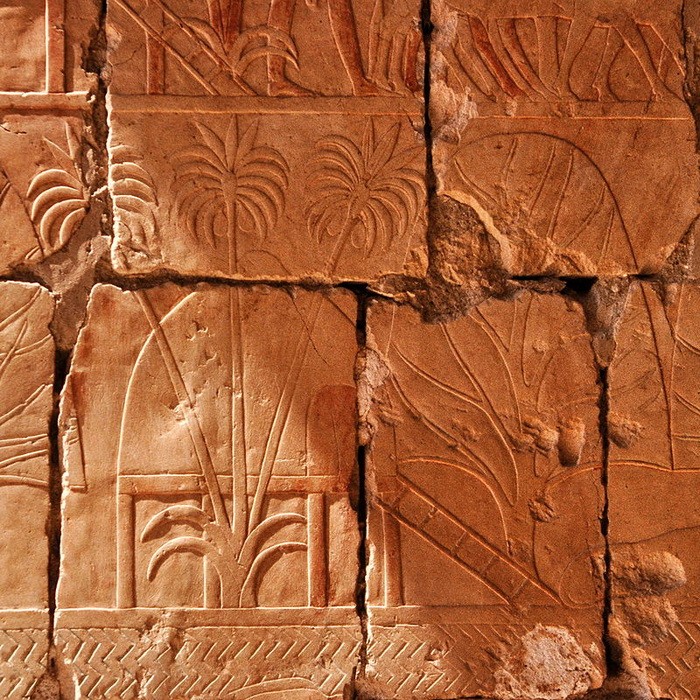 Для египтян Пунт был страной сказочных богатств, а потому то, что привозили из этих дальних краев, увековечивали на рельефах храмов