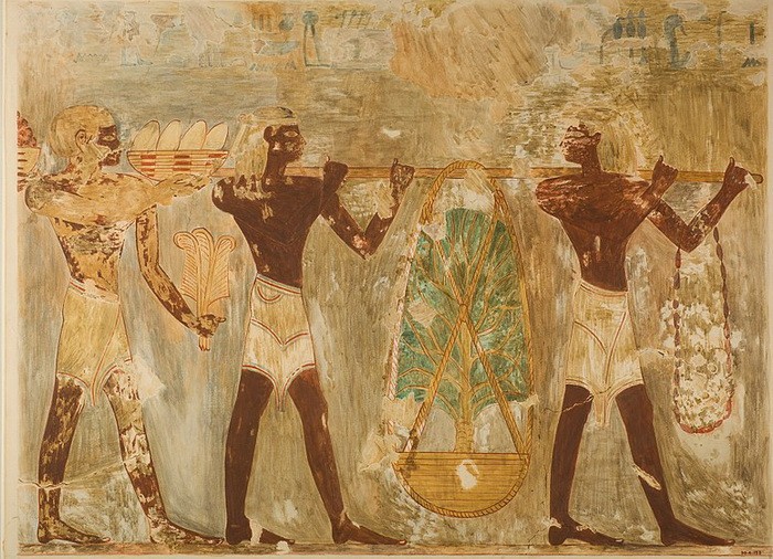 Последняя из известных экспедиций в страну Пунт состоялась при Рамзесе III