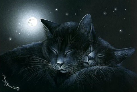Коты, кошечки и котики художника Ирины Гармашовой (Irina Garmashova)