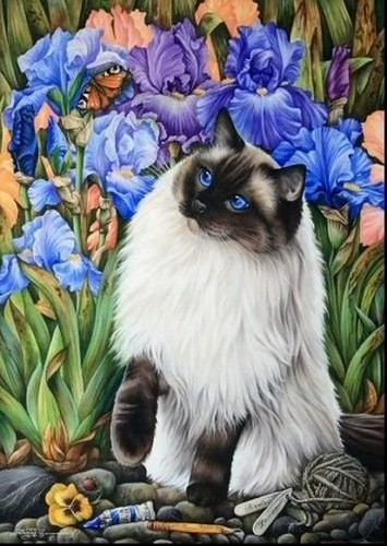 Коты, кошечки и котики художника Ирины Гармашовой (Irina Garmashova)