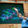 Открытие генетика Брюса Липтона: Сила мысли меняет генетический код человека