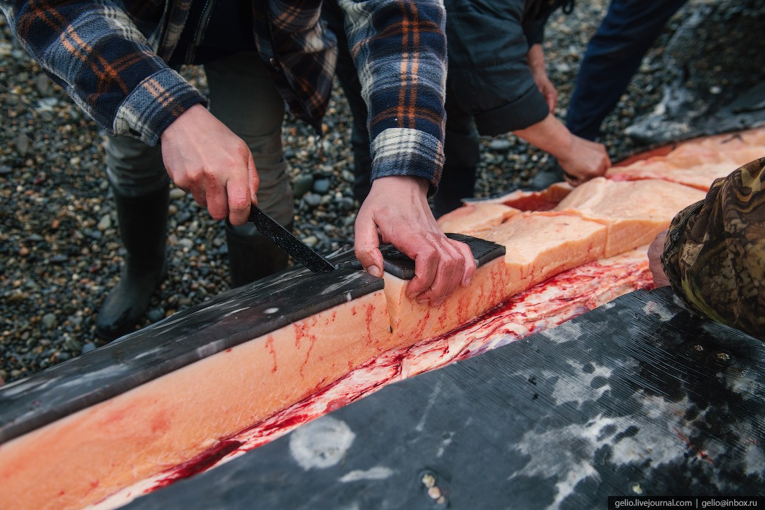 уэлен, самый восточный населенный пункт, чукотка, китовое мясо