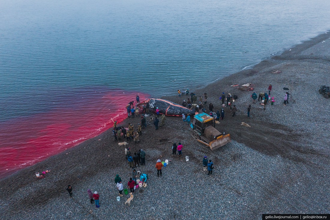 уэлен, самый восточный населенный пункт, чукотка, китобои, мертвый кит