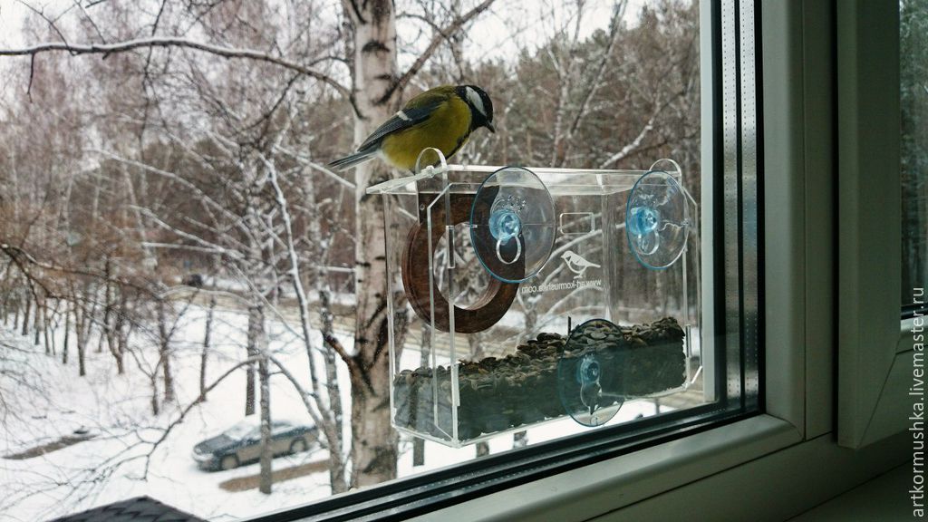 Кормушка для птиц на окно: прозрачная, стеклянная, картонная и пластиковая (своими руками)