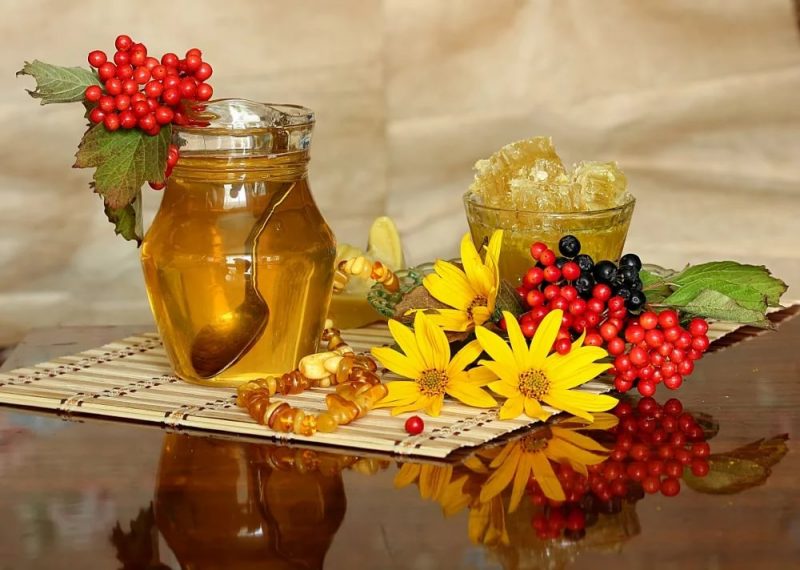 Перечень рецептов и полезных свойств калины с медом