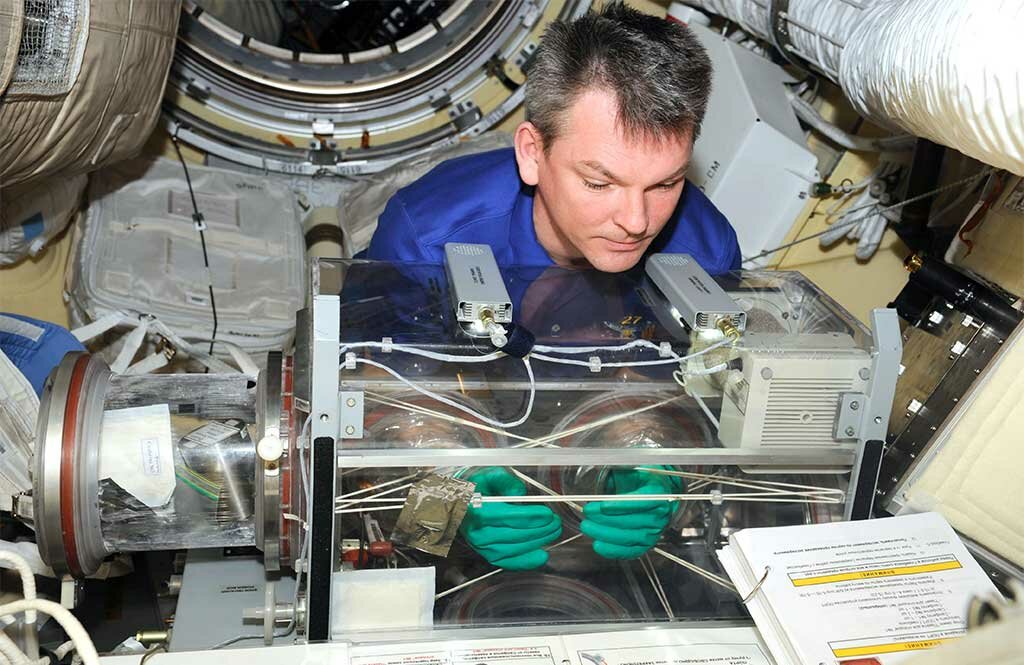 Исследовательская работа на борту МКС