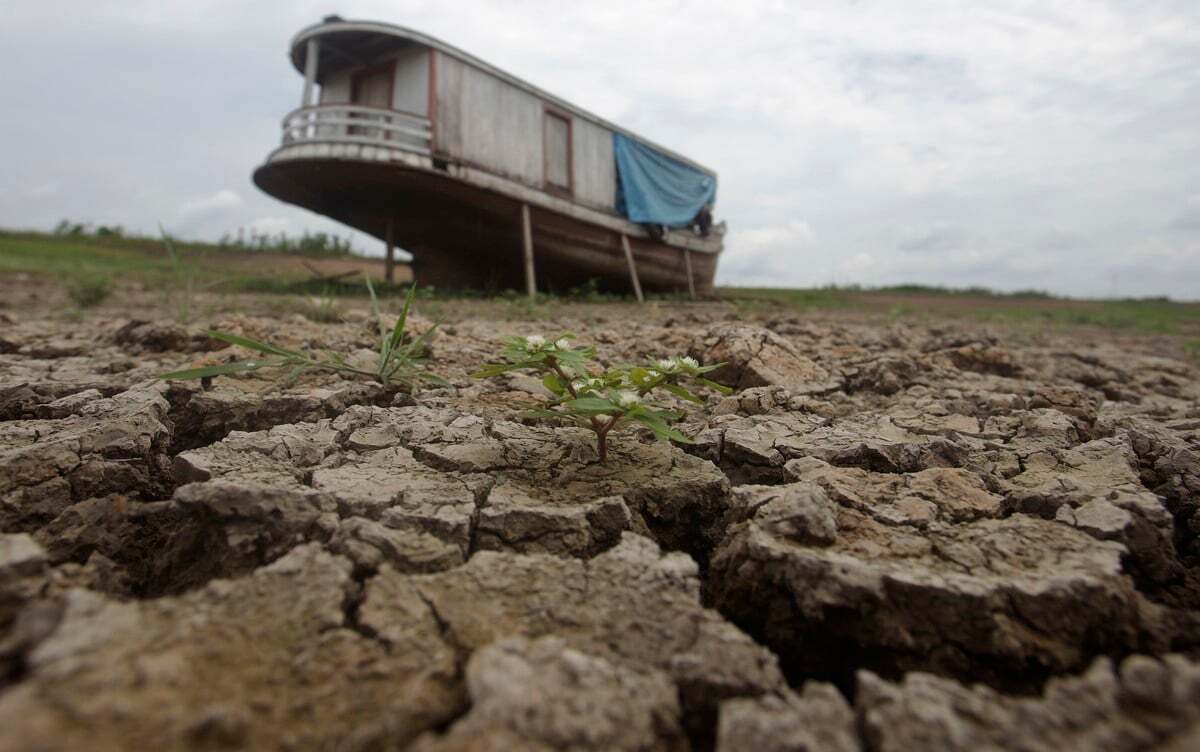 Уровень воды в реке Амазонка находится на минимальном уровне