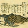 Раскрыта тайна 300-летней мумифицированной "русалки" из Японии
