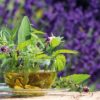 10 рецептов чая с шалфеем и других трав, полезных для здоровья