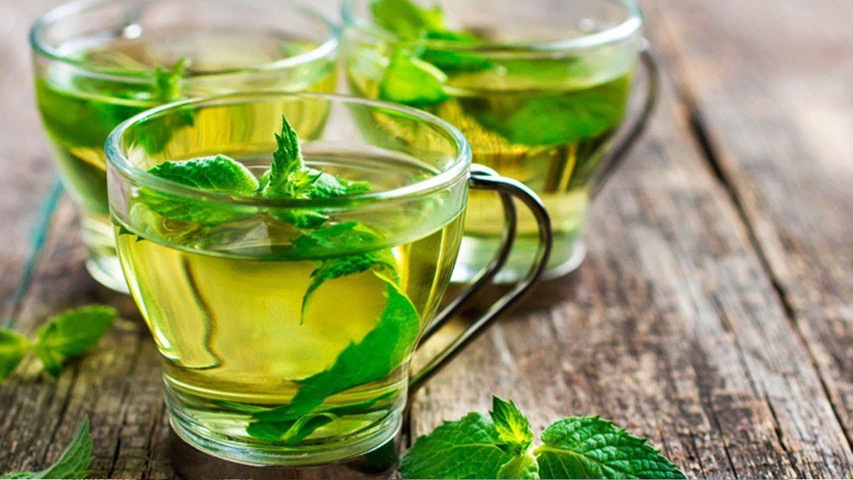 10 рецептов чая из мяты и других трав, полезных для здоровья