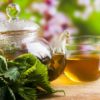 10 рецептов чая с крапивой и другими травами, полезных для здоровья