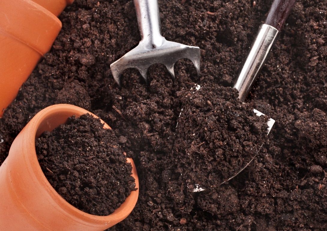 Подготовка почвы для успешного выращивания растений