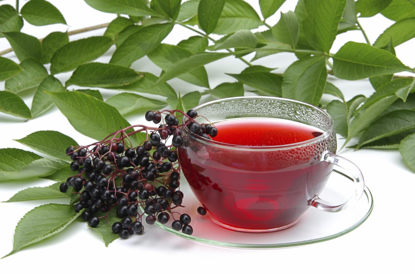 10 рецептов чая с бузиной и другими травами, полезных для здоровья