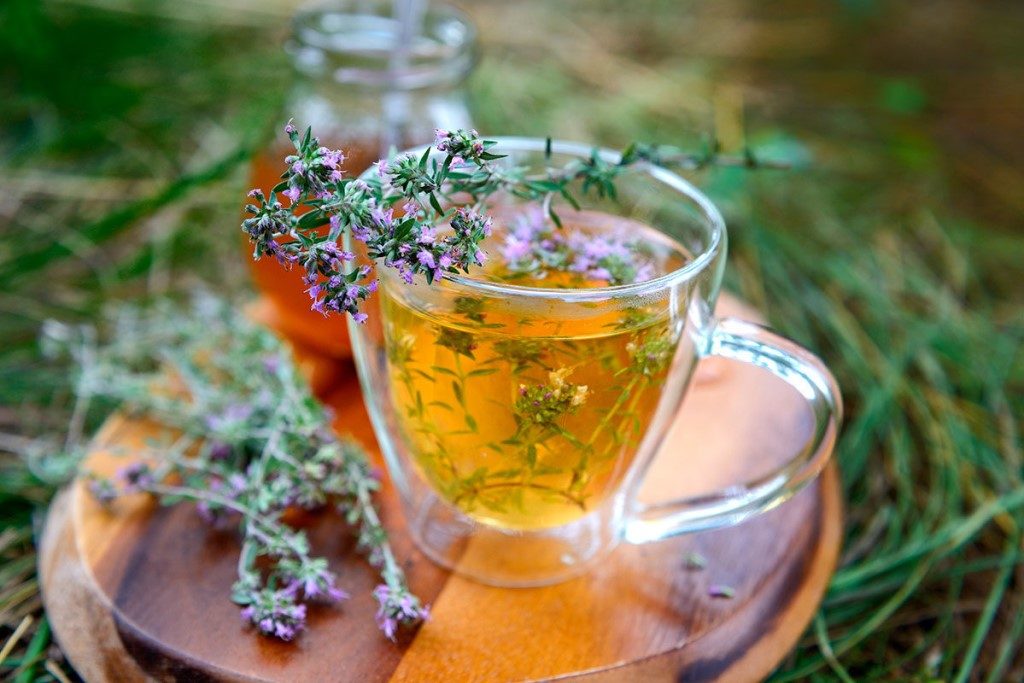 10 рецептов чая с чабрецом и другими травами, полезных для здоровья