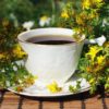 10 рецептов чая со зверобоем и другими травами, полезных для здоровья