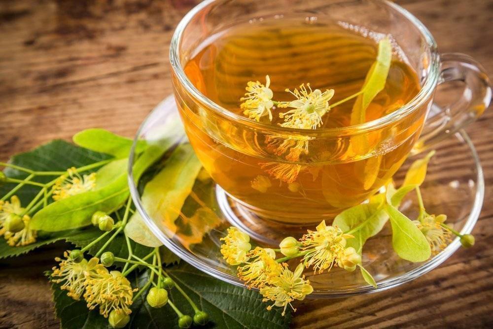 10 рецептов чая с липой и другими травами, полезных для здоровья