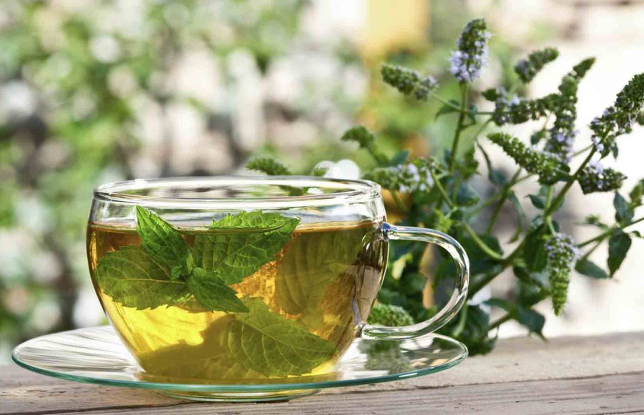 10 рецептов чая с перечной мятой и другими травами, полезных для здоровья