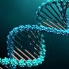 Диалоги о возникновении ДНК с ChatGPT