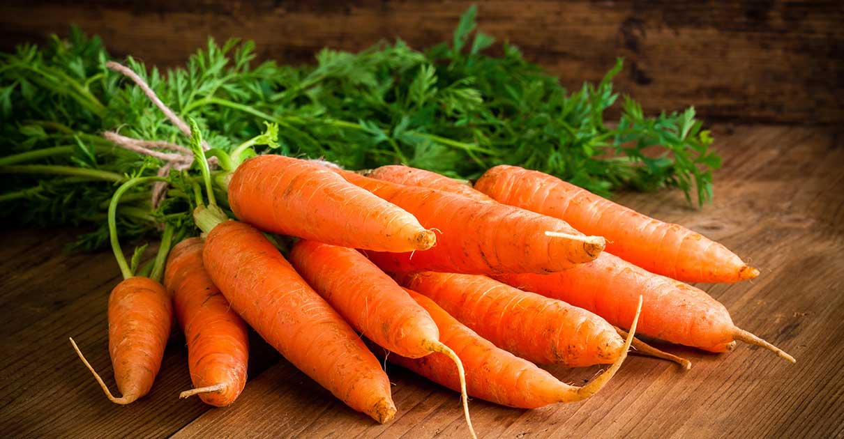 Одна морковка в день - профилактика рака и не только. Польза моркови
