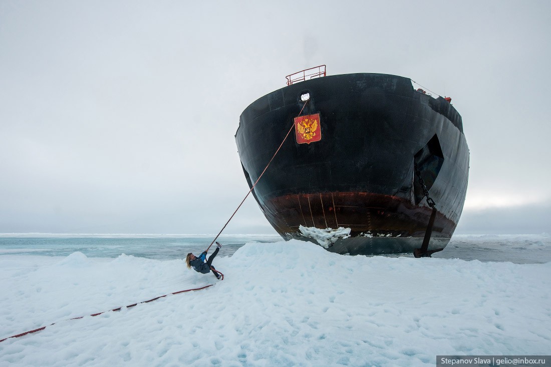 северный полюс, круиз, ледокол, тянуть за канат