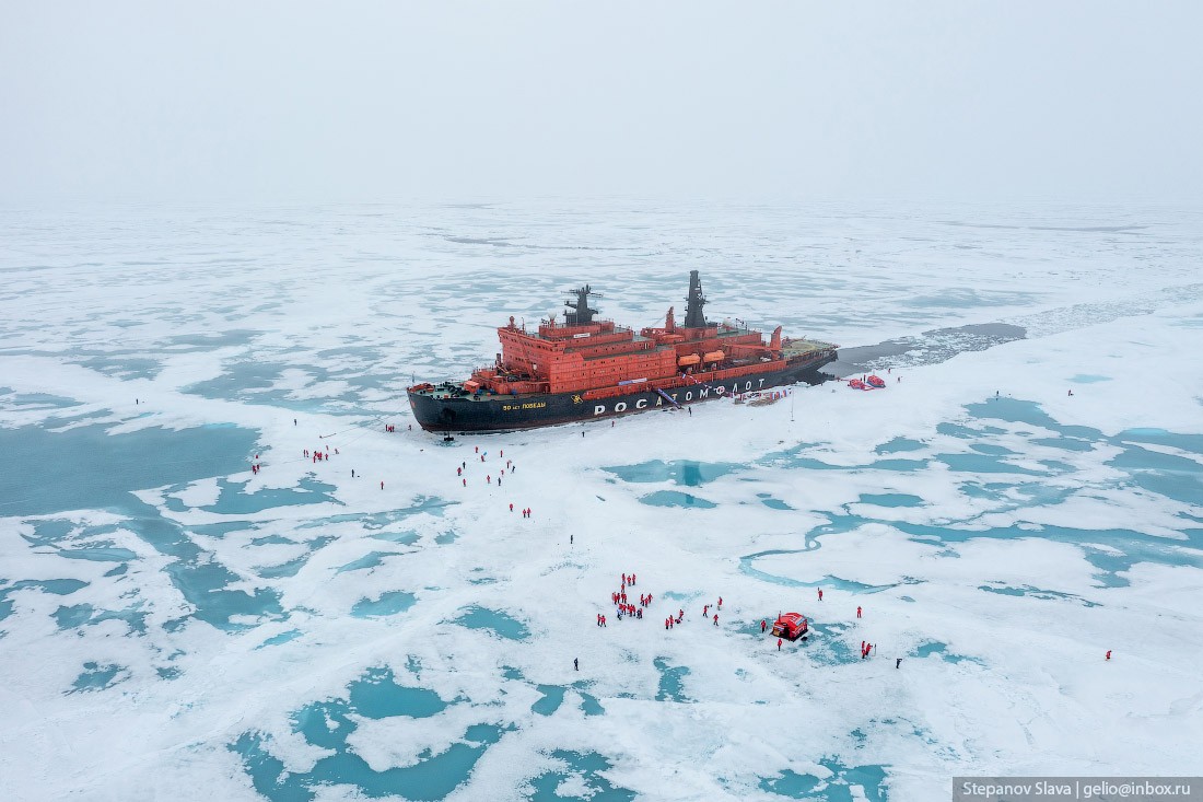 северный полюс, круиз, ледокол