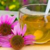 10 рецептов чая с эхинацеей в сочетании с другими травами, полезных для здоровья