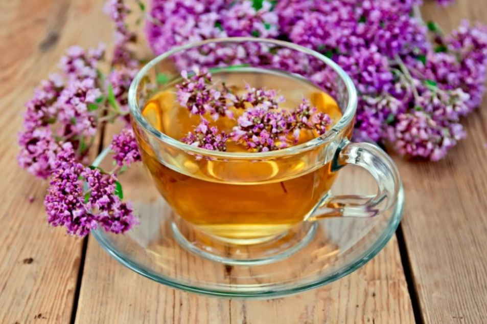 10 рецептов чая с тимьяном в сочетании с другими травами, полезных для здоровья