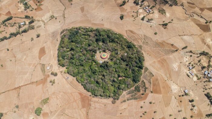 Вид с беспилотника на церковный лес на севере Эфиопии, (фотографы: Jeremy Seifert и Fred Bahnson).  Фото: gaianism.org.